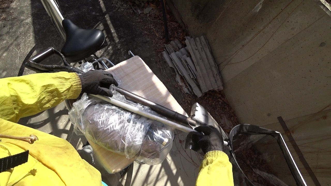 Nature Wonderland; going to the downstream area of Endo River by bike 20260317