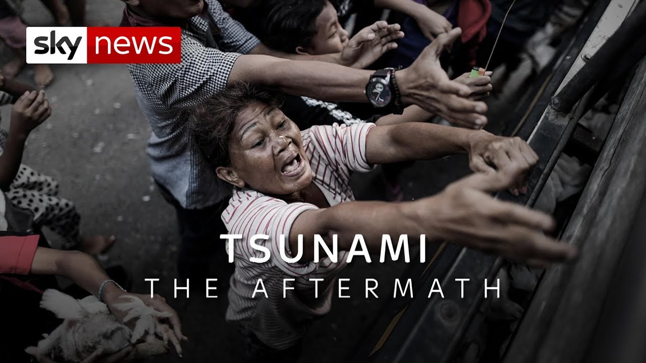 Tsunami: The Aftermath