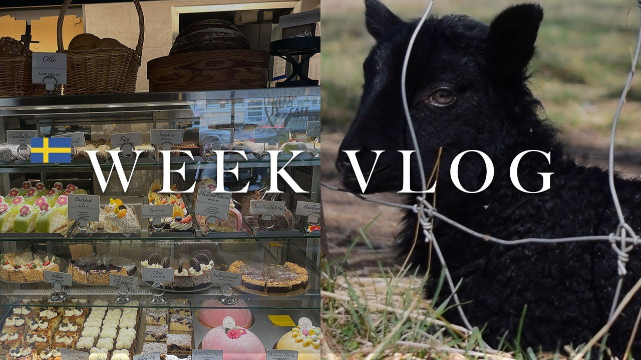 Voorjaar in mijn bol | Slowliving in Zweden | SlowTV| Weekvlog #136