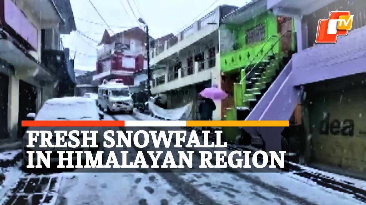 Watch: Munsiyari Turns Pearly White With Fresh Snowfall In Himalayan Region | OTV News