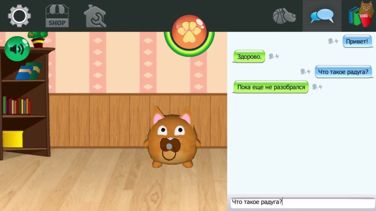Toma new update