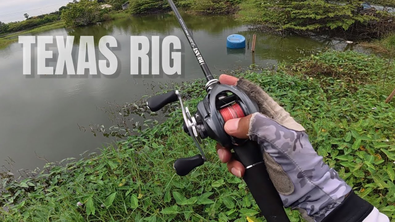 แนวทางตกช่อน Texas rig ปลาบ่อ อธิบายอย่างละเอียด‼️