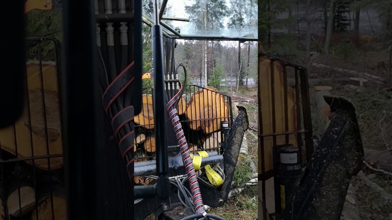 BMF 650 crane and BMF 9T1 timber trailer