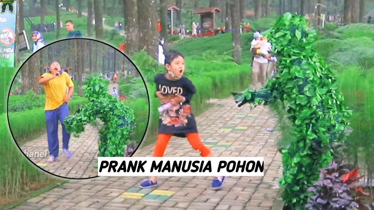 EKSPRESI NYA SANGAT KOCAK SAAT KENA PRANK MANUSIA DAUN 😂