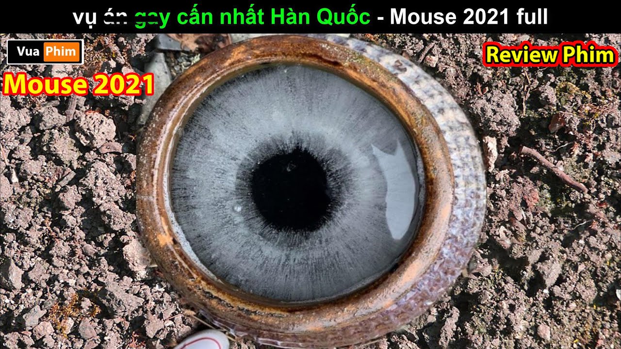 Phim Gay Cấn nhất Hàn Quốc - review phim Mouse 2021 full