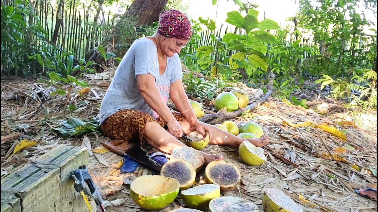 Raspando cuia, cujuba, coité ou cabaça