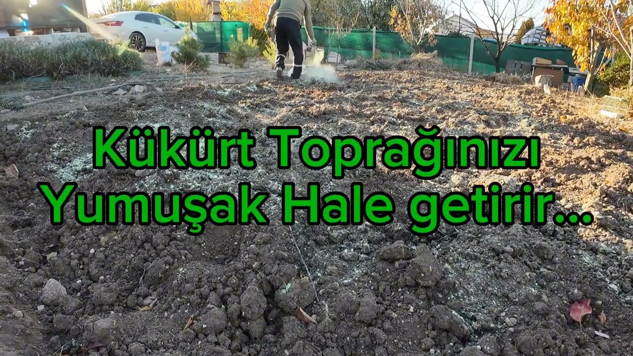 Toprağa K&uuml;k&uuml;rt Uygulaması, #bah&ccedil;e #toprak #tarım