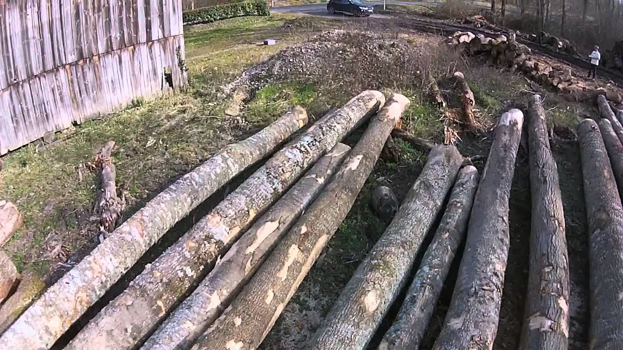 French sawmillsing industry