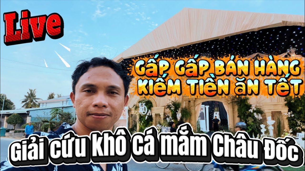 GIẢI CỨU KHÔ CÁ MẮM CHÂU ĐỐC CÔ CHÚ ANH CHỊ ƠI 🤣 #tuananhtv