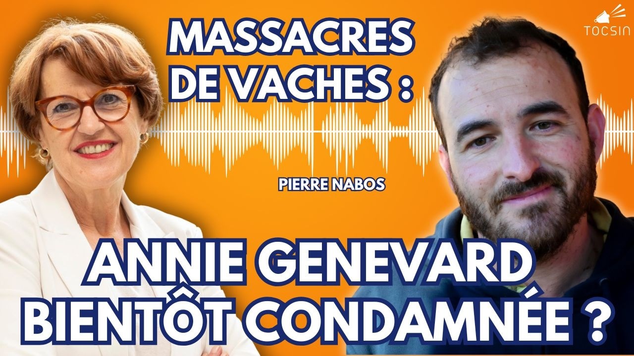 Abattages abusifs de bovins : la plainte qui peut faire tomber Annie Genevard !