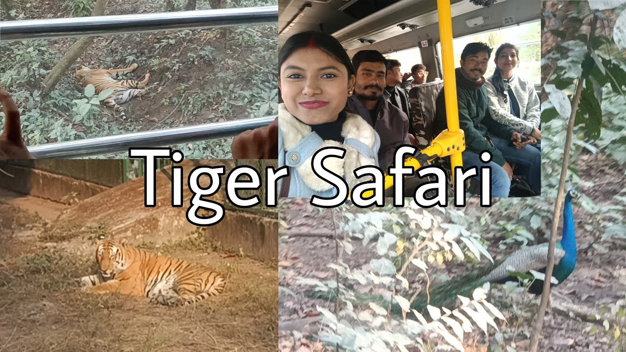 Bengal Safari Park 2026 || Tiger safari in siliguri 🐯