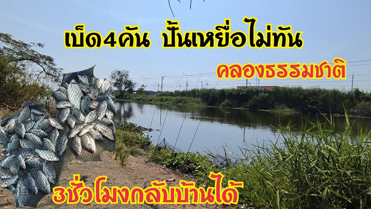 กินจัดวัดกระจาย⚠️ ตกปลาหมายคลองธรรมชาติ⚠️