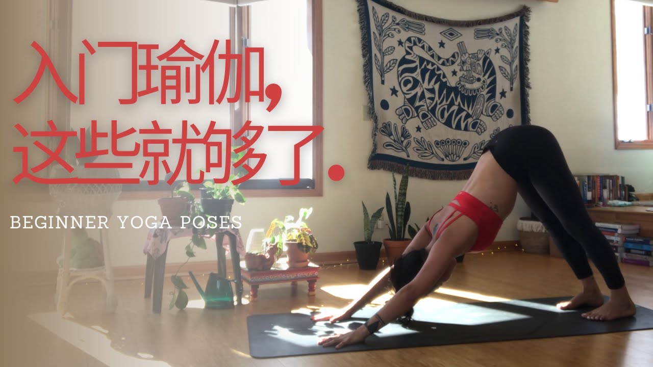 瑜伽入门必学的30+个体位演示｜了解瑜伽基础动作的中文/英文/梵文名称｜30+beginner basic yoga poses｜初學瑜伽必學動作｜