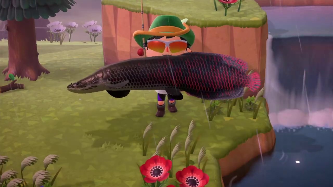 Animal Crossing New Horizons: How to Catch Rare Fish