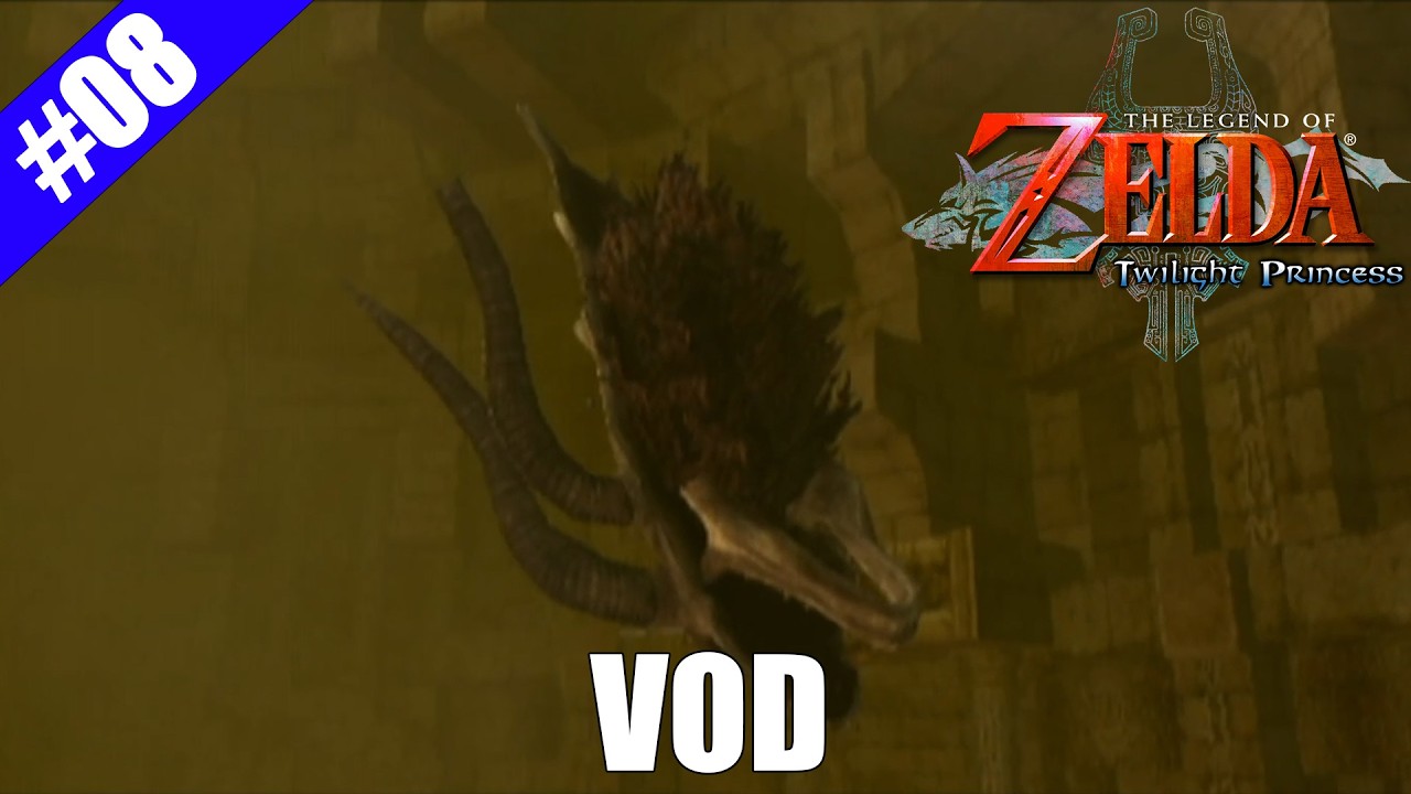 [VOD] Master Sword | The Legend of Zelda : Twilight Princess (#8)