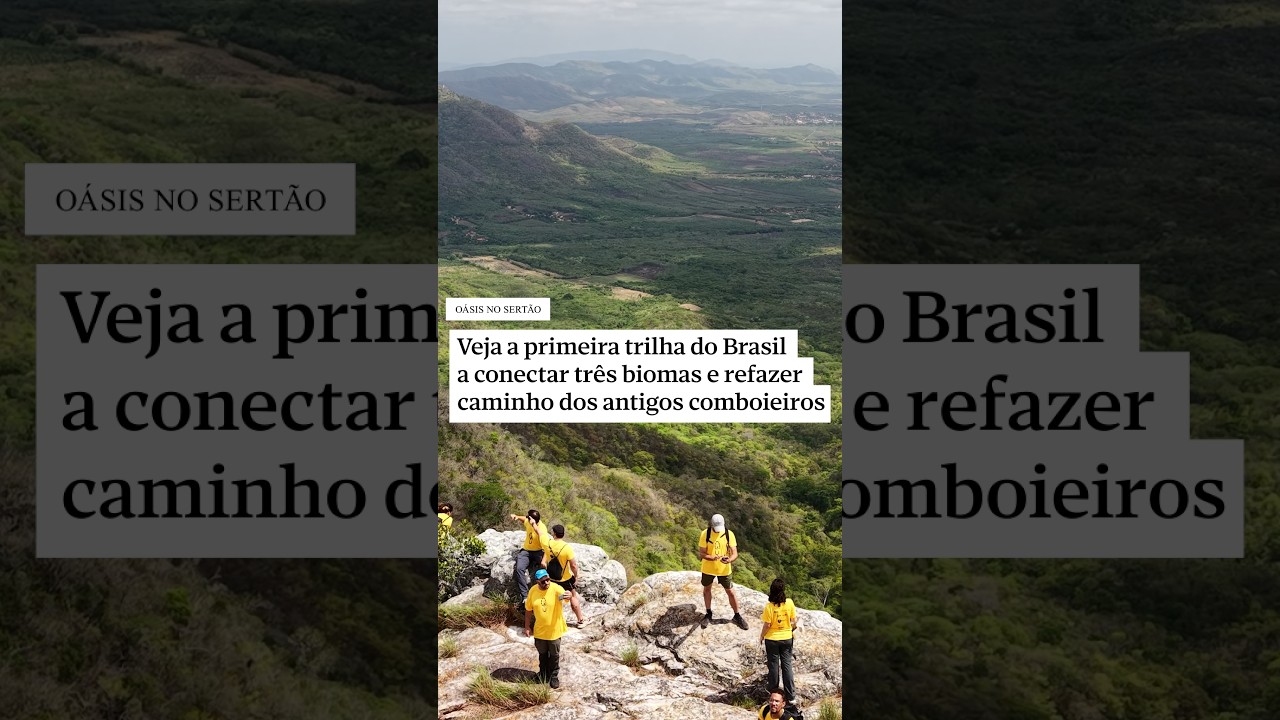 Oásis no sertão