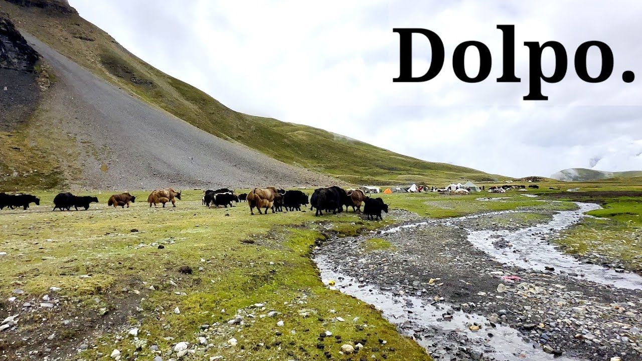 དོལ་པོ་ལ་ཕྱིན་པའི་བརྙན་ཐུང་བརྒྱད་པ། Part 8 of Travel in Dolpo.