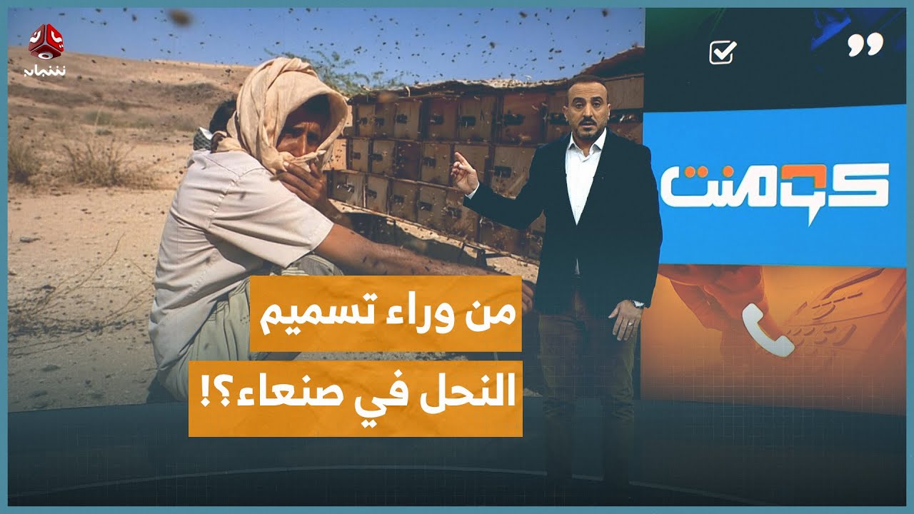 صدمة في صنعاء بعد تسميم 240 خلية نحل فجأة | كومنت