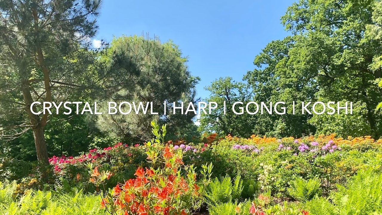 CRYSTAL HARP | CRYSTAL BOWLS | KOSHI CHIMES | CHAU GONG SOUND HEALING (Sound Bath)