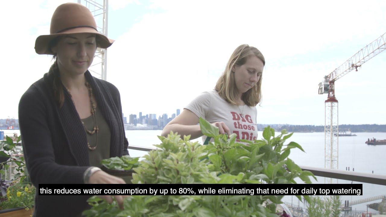 How to Build a Self Watering Garden any size using Sub-Irrigation