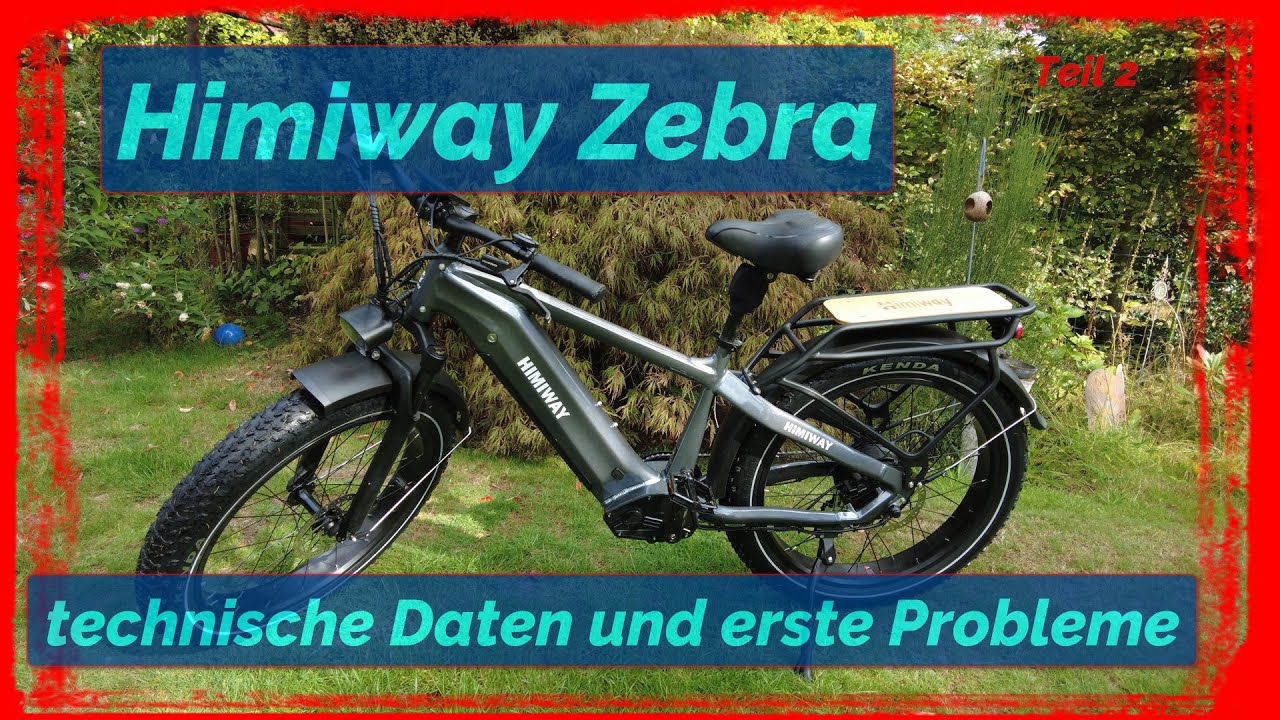 Himiway Zebra, technische Daten und erste Probleme
