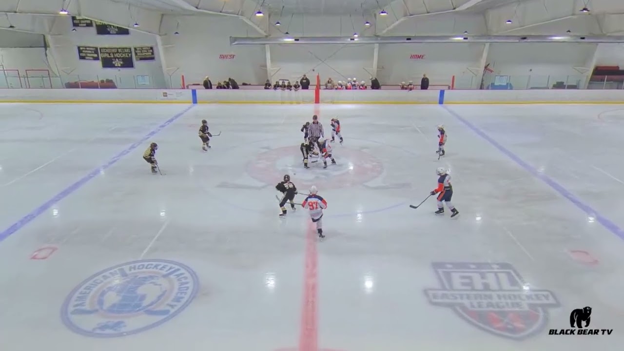 2025-2026 Eastern Hockey Federation Playoffs   2016 Elite Division   Game 2  March 1, 2026