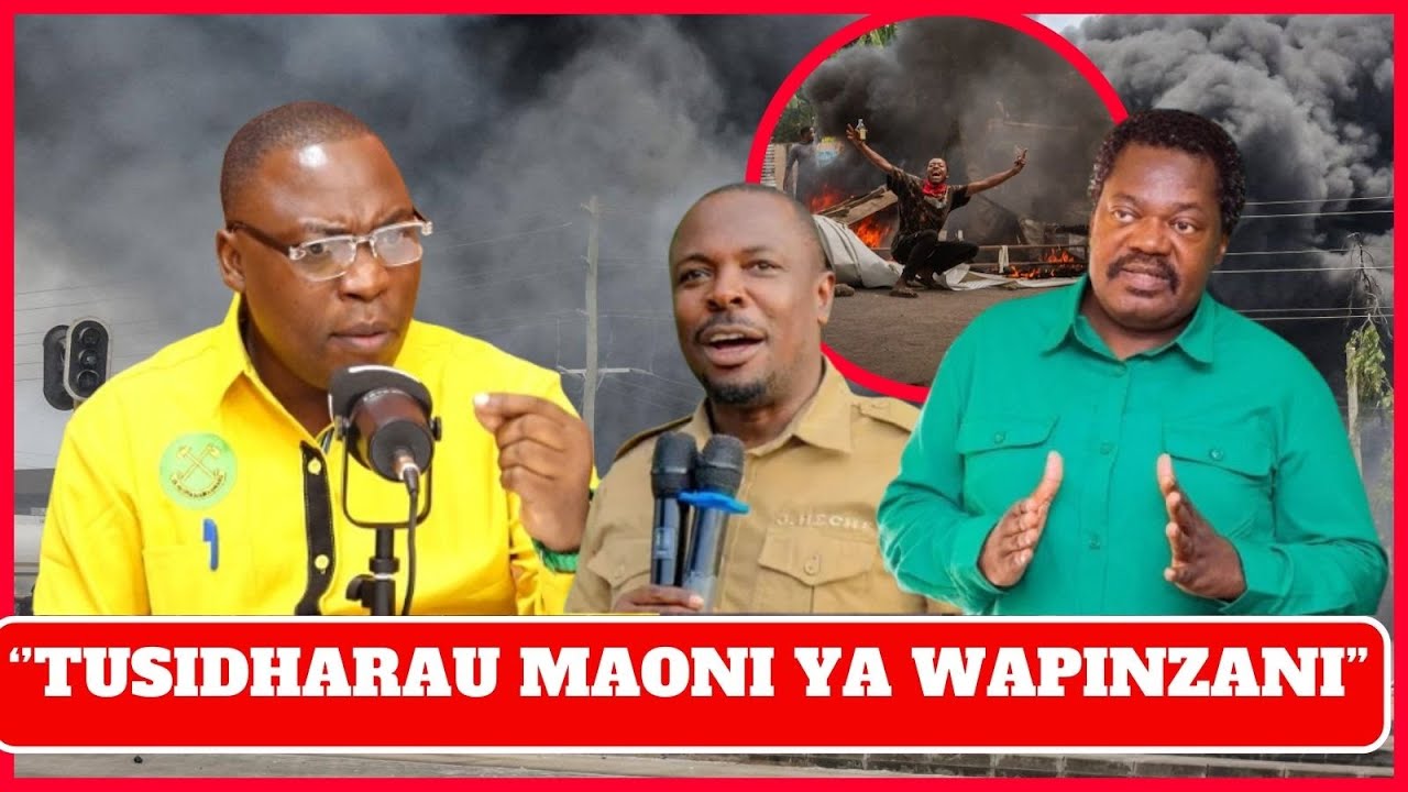 KAULI YA DKT NCHIMBI YAMUIBUA KADA WA CCM 
