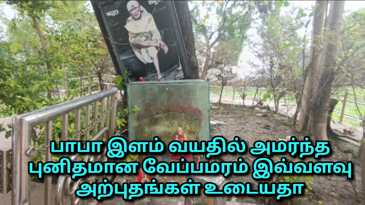 பாபா இளம் வயதில் அமர்ந்த புனிதமான வேப்பமரம் இவ்வளவு அற்புதங்கள் உடையதா