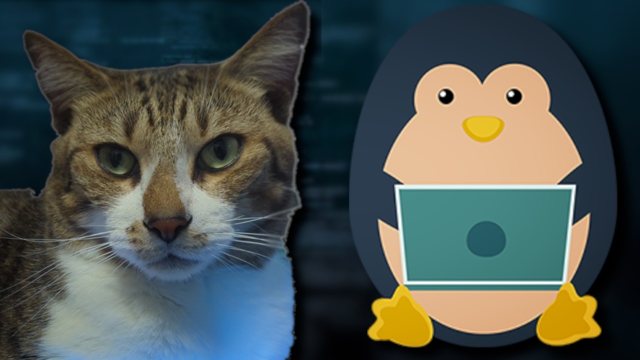 The Best Way to Learn Linux?