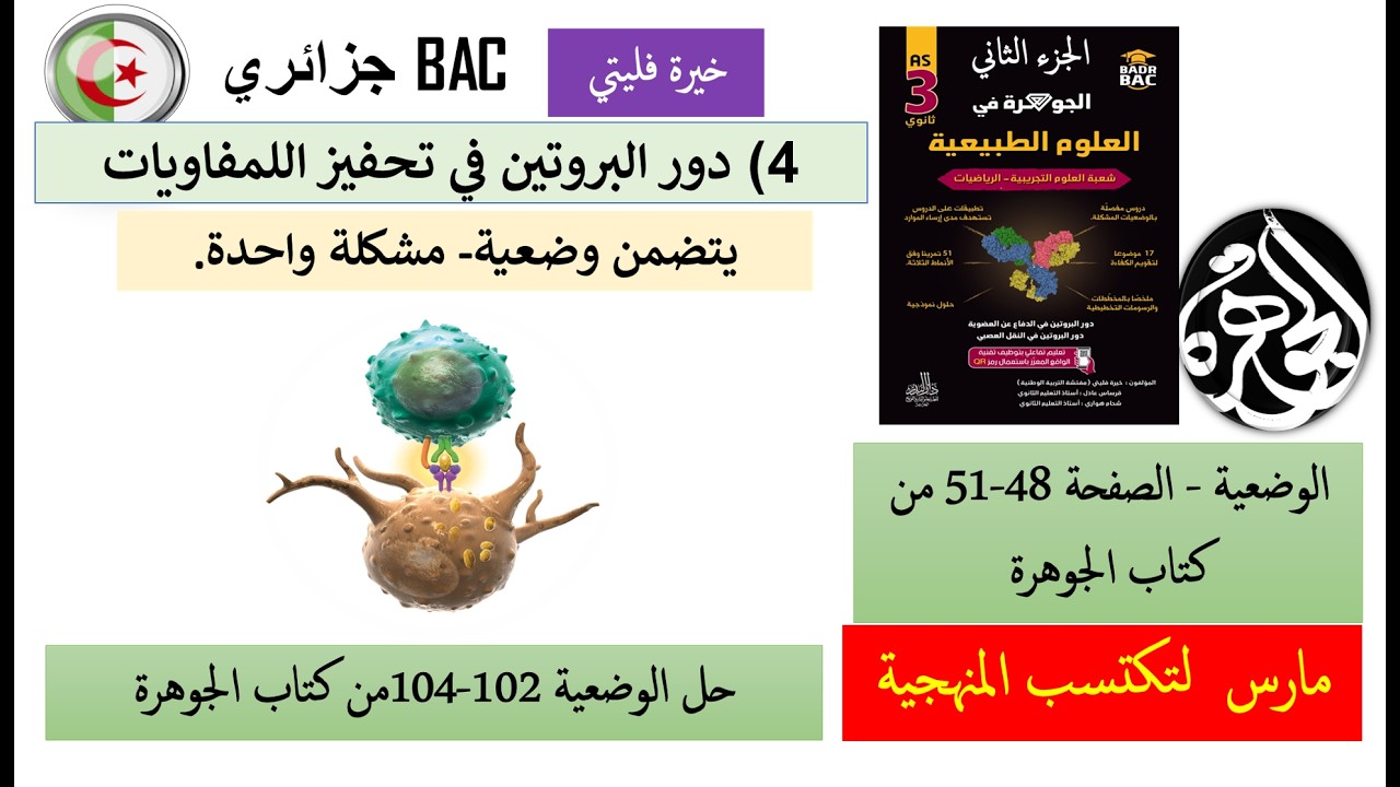 حل الجزء الأول والثاني لوضعية تحفيز اللمفاويات