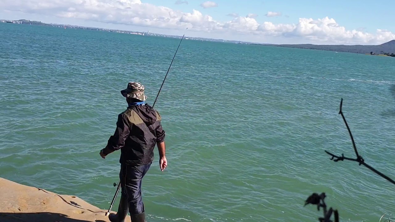 Rock fishing Auckland