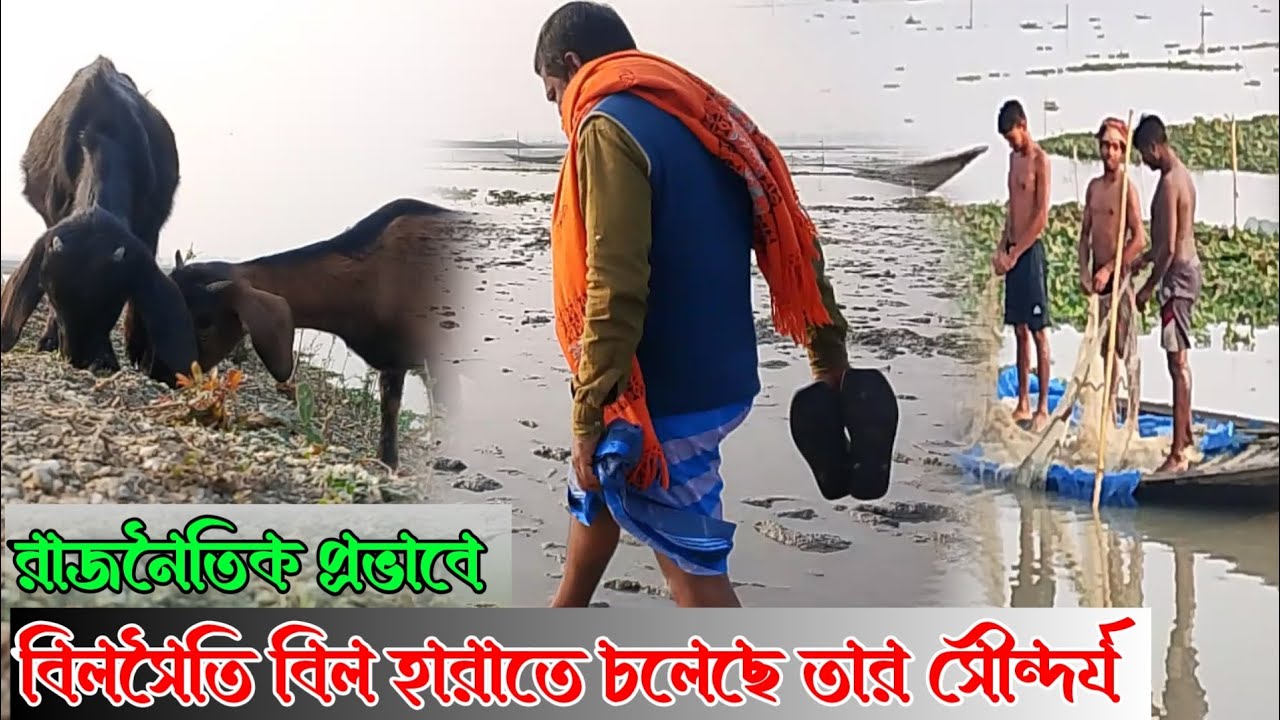 বিলসৈতি বিল হারাতে চলেছে তার সৌন্দর্য || রাজনৈতিক ছত্রছায়াতে বিলসৈতি বিল এখন হুমকির মুখে | ২০২৬ 