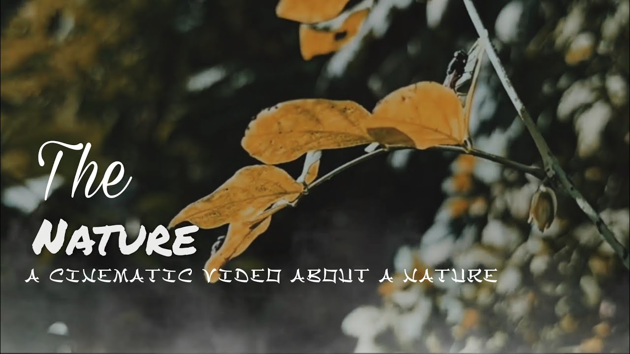The Nature Cinematic video || Short Films ||#cinematic #nature #film