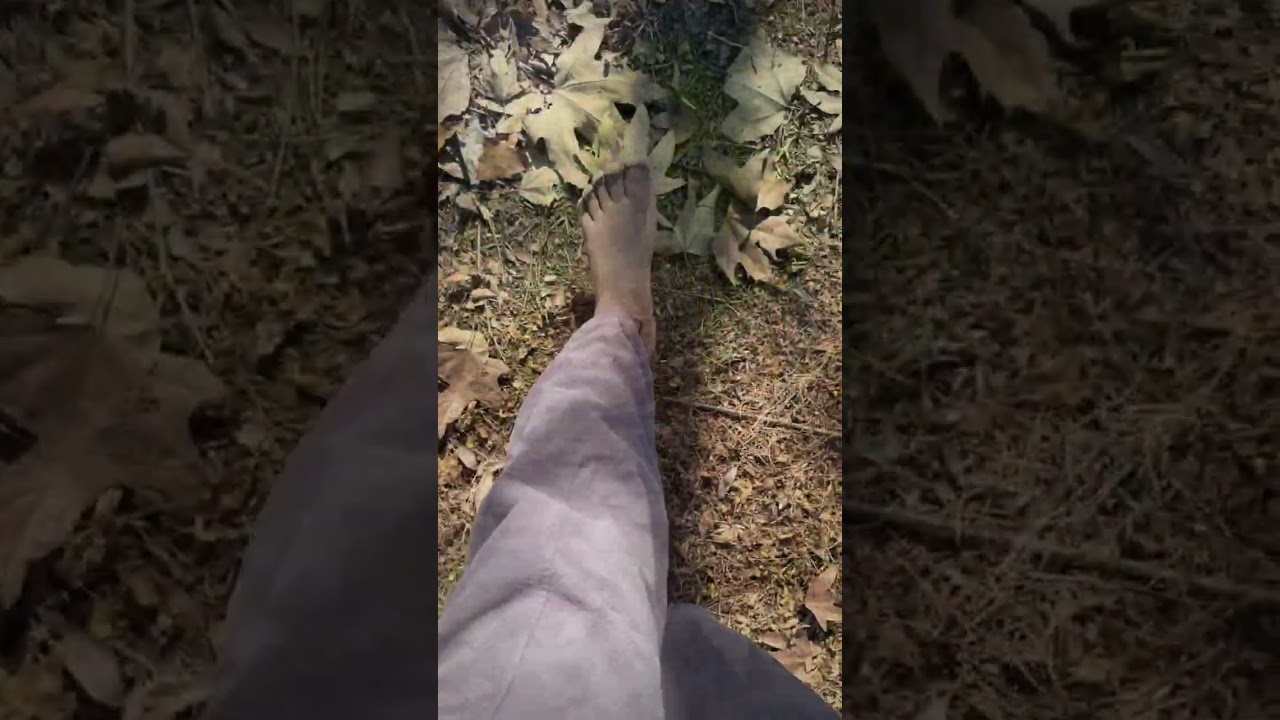 #naturewalk 