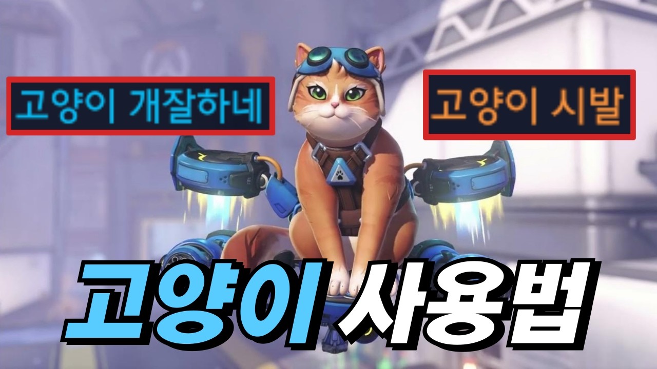 오버워치 대격변 시즌, 신캐 