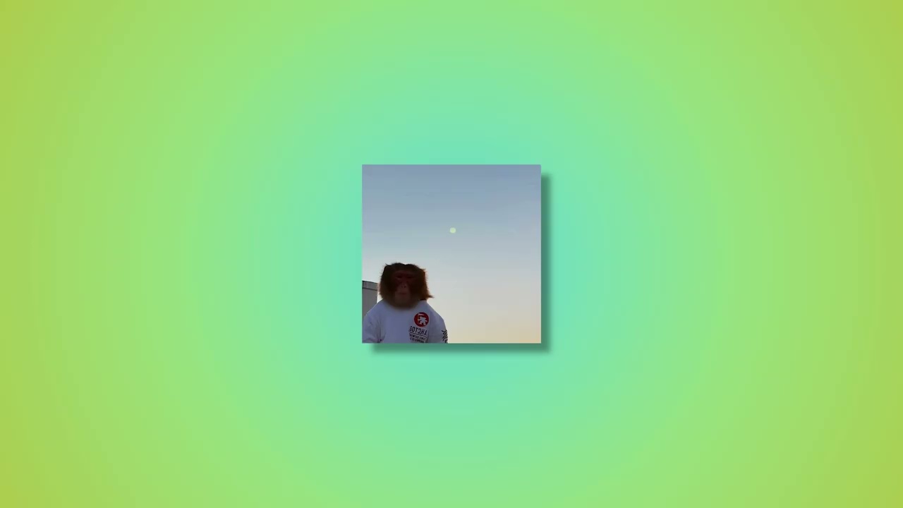Cocoon  -  sped up  -  Milky Chance