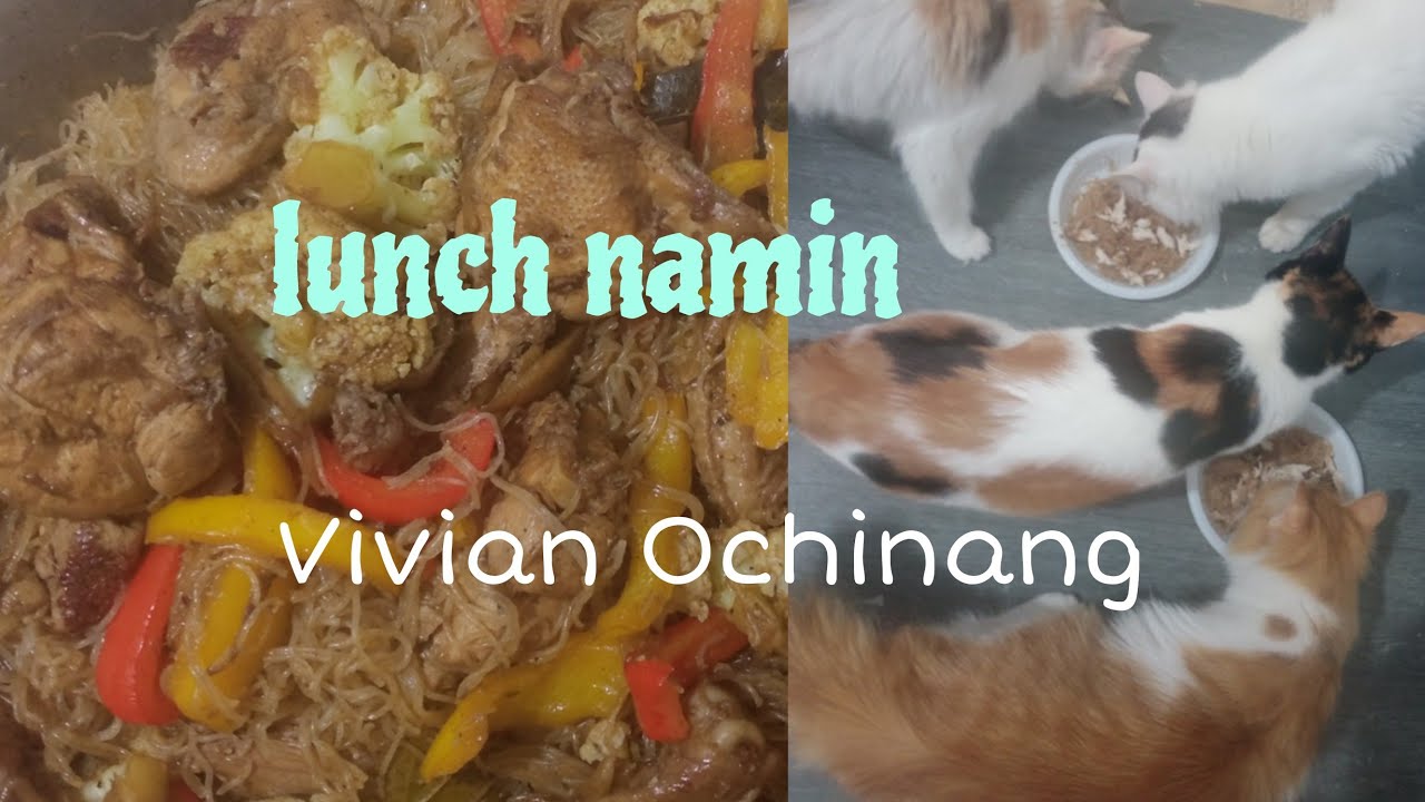 MAGLUTO MUNA NG LUNCH NAMIN #catlovers #catsarefamily