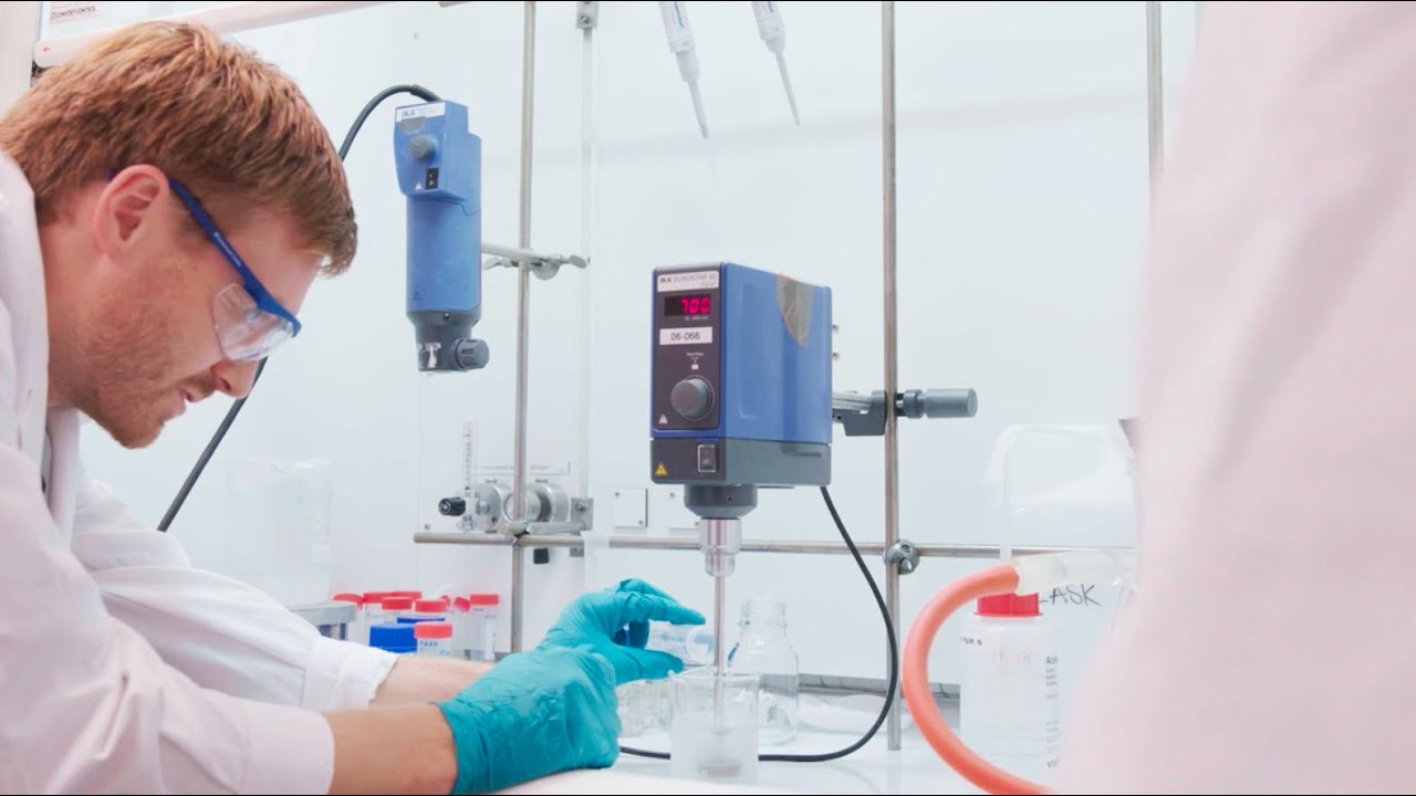Forest can be converted into new environmentally friendly super material