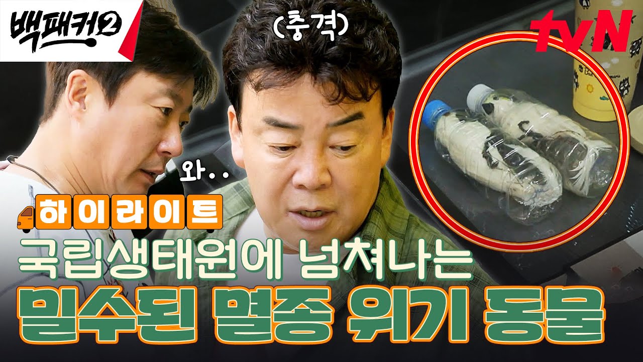 병 안에 앵무새를 넣어 밀수한다..?! 분노를 부르는 멸종 위기종의 현실♨ #highlight #백패커2 EP.8
