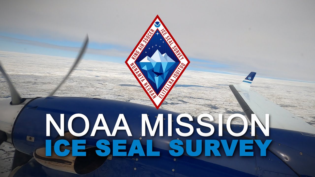 NOAA Mission: Ice Seals Surveys