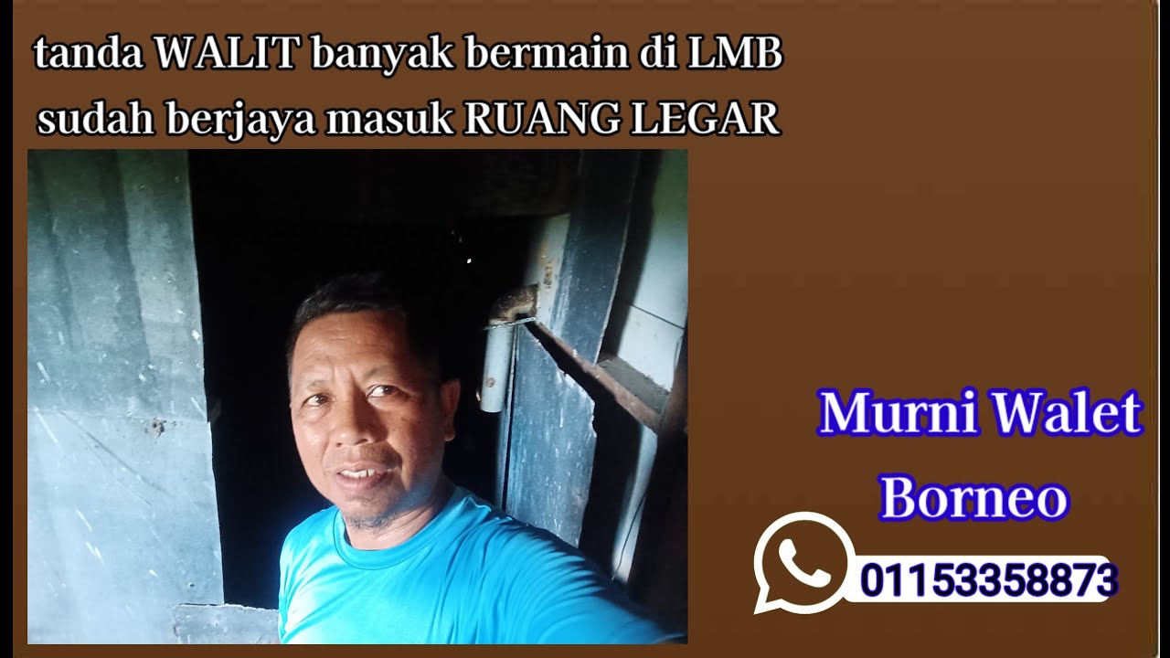APAKAH TANDA WALIT yang bermain di LMB sudah masuk RUANG LEGAR?