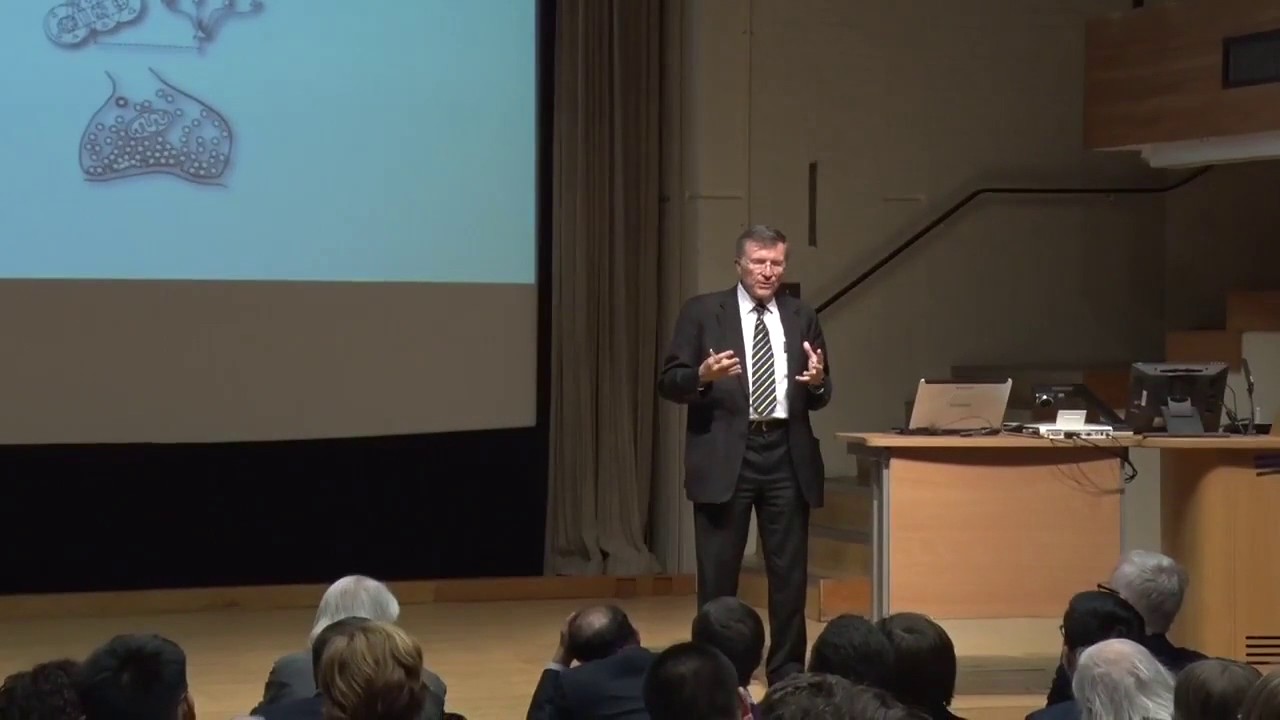 Professor Terrence Sejnowski - Deep Learning: Artificial Intelligence Meets Human Intelligence