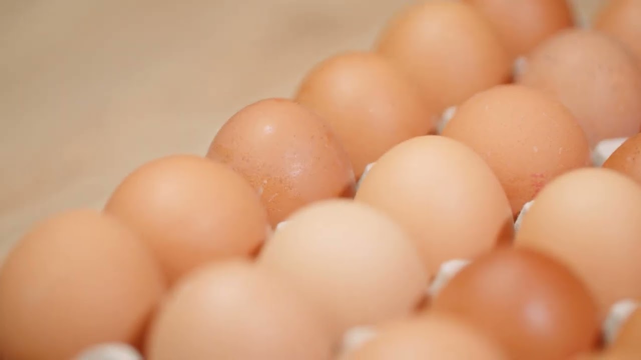 AGRO INFO | 09.09.2025 | TV Republika