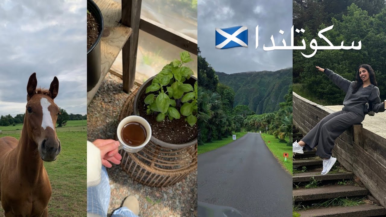 جربت زحليقة ادنبرة لأول مره 🎢ردة فعلي + تمشية في الطبيعه 🐎☕️