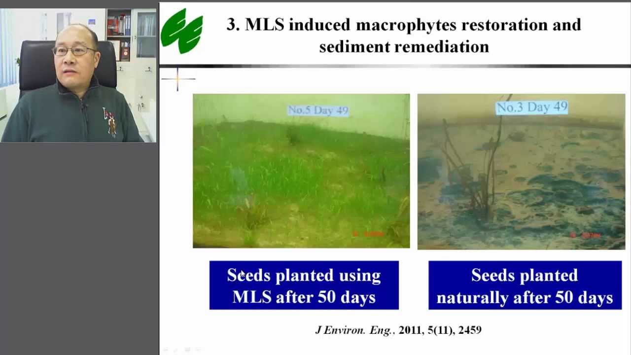 Lake restoration and eutrophication control through manipulating algal blooms in situ