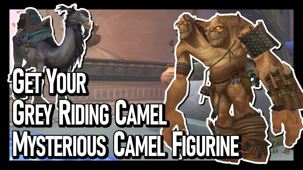 Get Your Mysterious Camel Figurine! Grey Camel Guide!