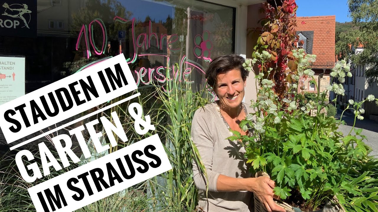 GARTENTIPP: STAUDE Astrantie im Strauss gebunden & 10 Jahres-Jubiläum FlowerStyle DIY