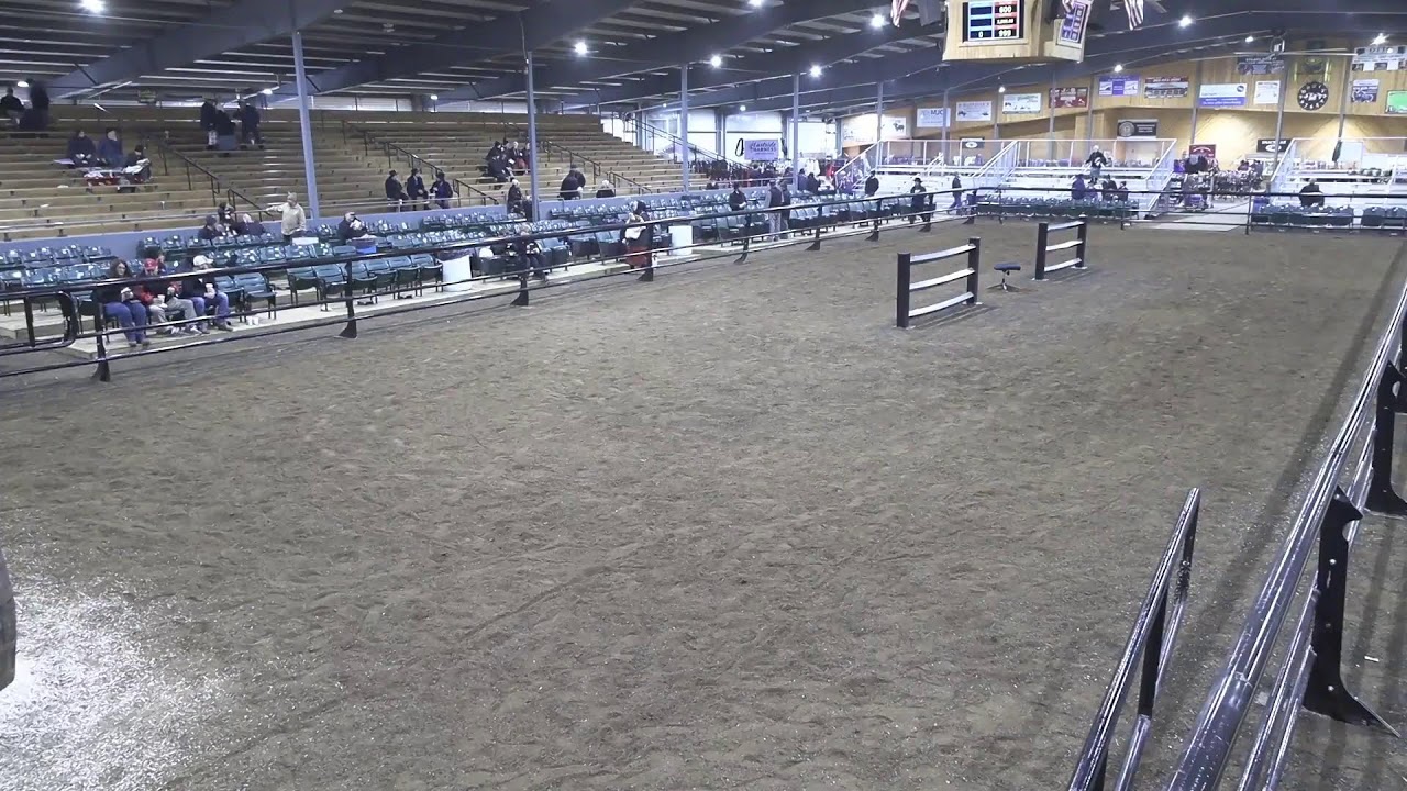 Topeka Livestock Auction Live Stream