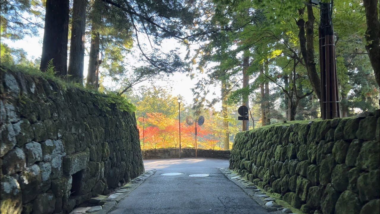 [ Driving Japan ] Head to Nikko and Oze, popular World Heritage sites and beautiful autumn foliage.