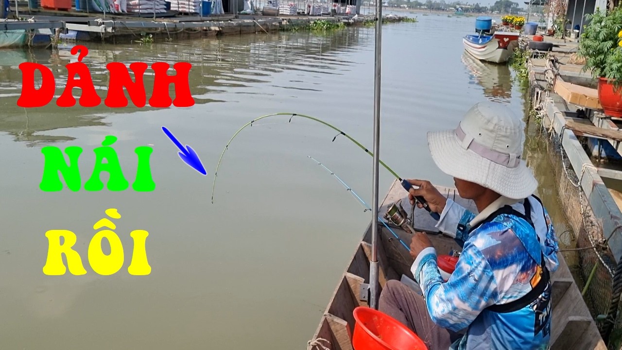 🐟Câu Cá Dảnh Ngoài Bè Cá Ăn Không Kể Nước Ròng Lớn Ăn Lên Cá Liên Tục Và Cái Kết Một Khoan Xuồng Cá🐟